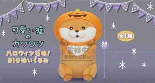 【9月景品計劃】PE250913 可愛い嘘のカワウソ ハロウィンだぬ！BIGぬいぐるみ